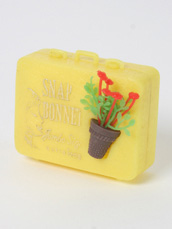 Snap Rain Bonnet in Pretty Case