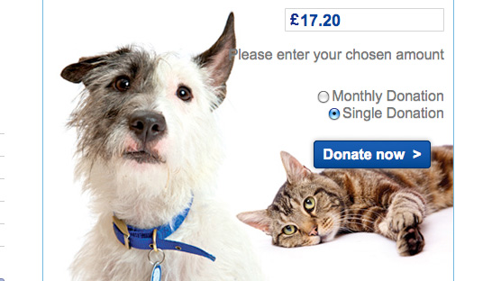 Our first every Caturday donation to Battersea Cats and Dogs Home Our first every Caturday donation to Battersea Cats and Dogs Home