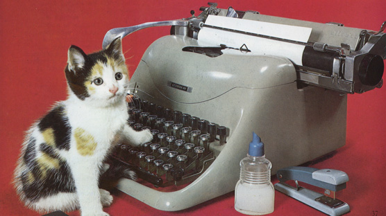A typewriter, stapler, glue and cute kitten - everything the home office needs.