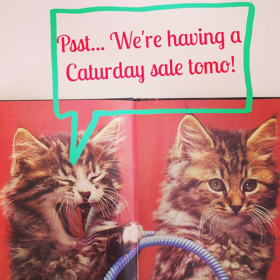Someone's super excited about our Caturday sale tomorrow!